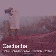 Gachatha Specialty Coffee